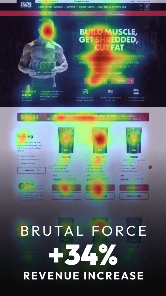 brutal force case study