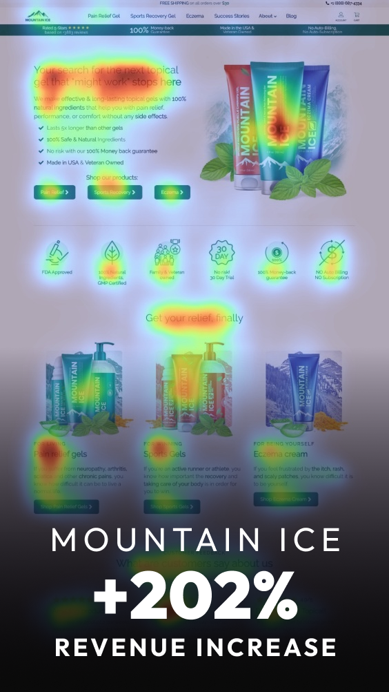 mountain ice case study