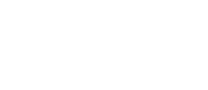 brutal force logo